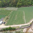 화산면601 이미지