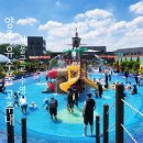 태양농원 | 양주 유수풀 수영장 고주내관광농원 내돈내산 후기