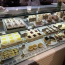 하이애니멀샵 이미지