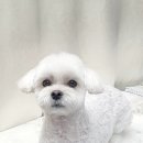 원미용실 이미지