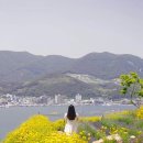 라벤더 민박 이미지