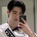 판월드투어