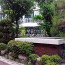 야탑로231번길 Daum카페