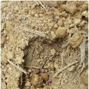 수촌농장 이미지