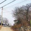 삼대째 손두부 이미지