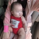 탐모라 수영장 이미지