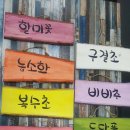 꿈의힐링펜션 이미지