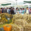 단양농업협동조합(농산물판매) 이미지