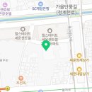 호텔 더 보타닉 세운 명동(B동) 이미지