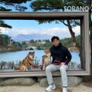 가족독채펜션편한대로 이미지