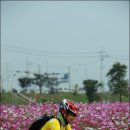 남한강 자전거도로 이미지