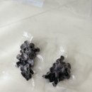 오늘뿐이개 이미지