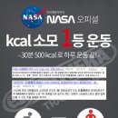 살빼고점핑다이어트