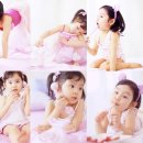 레몬트리 이미지