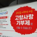 1인 가구가 알아두면 도움되는 ‘세법개정안’ 활용법 ②주택청약 저축 연 300만 원까지 소득공제·반려동물 진료비 부가세 면제장기 주택담 이미지