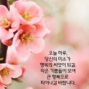 행운 이미지