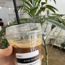 환서초등학교 | 백석동 환서초 바이데어 혼커하기 좋은 조용한 카페