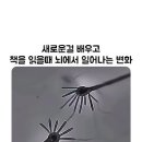 중년 이후 기억력, 노력하면 지킬 수 있을까? (논문으로 알아본 뇌 이야기) 🧠 이미지