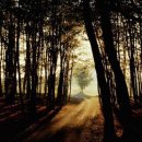 천년세탁소 이미지