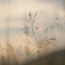 이원웅피티스튜디오 이미지