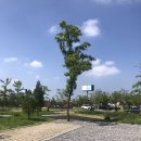 주차77 | 서울 근교 저렴한 캠핑장 인천 노을진캠핑장 오토캠핑 예약 주차 77번 데크사이트 후기