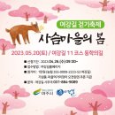 2023 여강길걷기축제 '사슴마을의 봄' 이미지