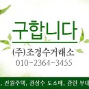 수목 구합니다(블루엔젤, 목백합, 은행나무) 이미지