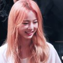 로즈멍 네이버블로그