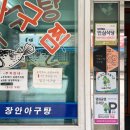 수원문화재단 노동조합 | [수원 화성] 장안아구찜 화성어차 창룡문 벚꽃나무 카페 오늘