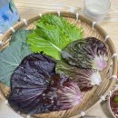 #갈치집 | [제주맛집/노형맛집]제주마음