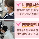 부산썬의원 이미지