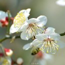 강릉우리집 이미지