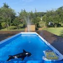 피오르디 젤라또 이미지