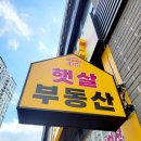 데시앙부동산중개사무소 이미지