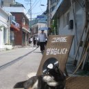 그라메도