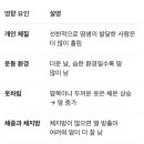 용호헬스사우나 네이버블로그