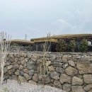 제시카의 제주 이미지