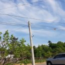 이레 양계장 이미지