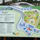 아이올레인포레스트캠핑 이미지