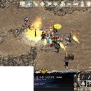 단정하개 이미지