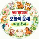 2026년 9월 19일 토요일 오늘의 운세 이미지