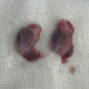 다산동물병원 이미지