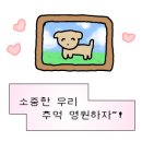 도그포레스트