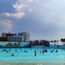 정왕역환승센터 | 시흥 웨이브파크 미오코스타 뚜벅이워터파크 추천!