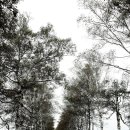 미림목장 이미지