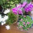 테라스풍경 이미지