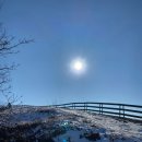 소나무 한우 목장 이미지