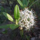 석항마을 이미지