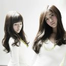 C0421 티스토리