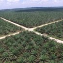 미래종합상사 이미지